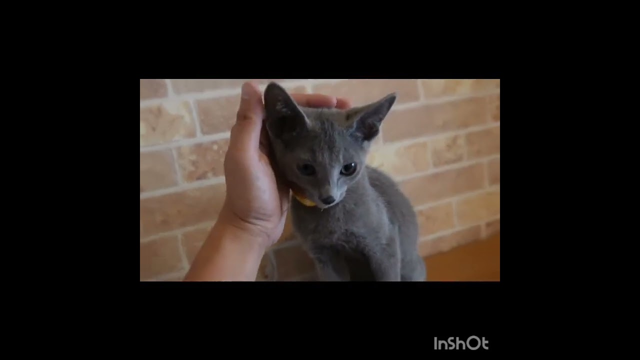 ブルーの男の子♪