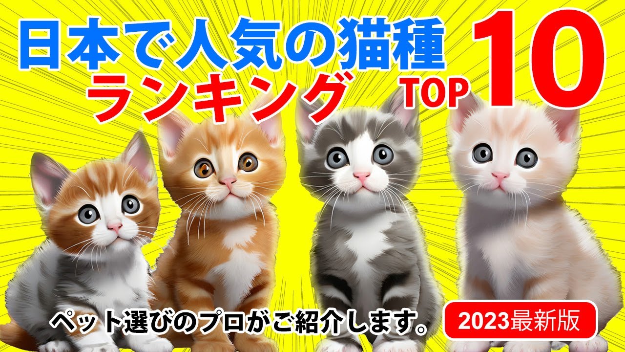 日本で人気の猫種ランキング　ベスト10
