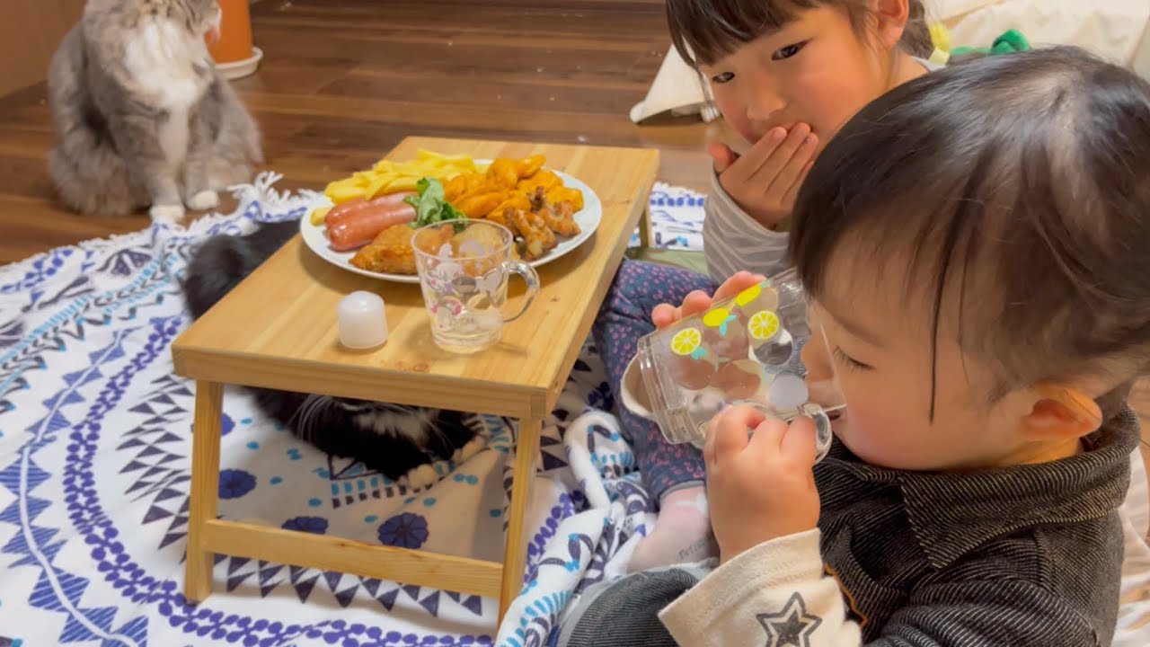 生まれて初めての炭酸を飲む二歳児の反応を待つ猫　ラガマフィン　cat attending christmas party