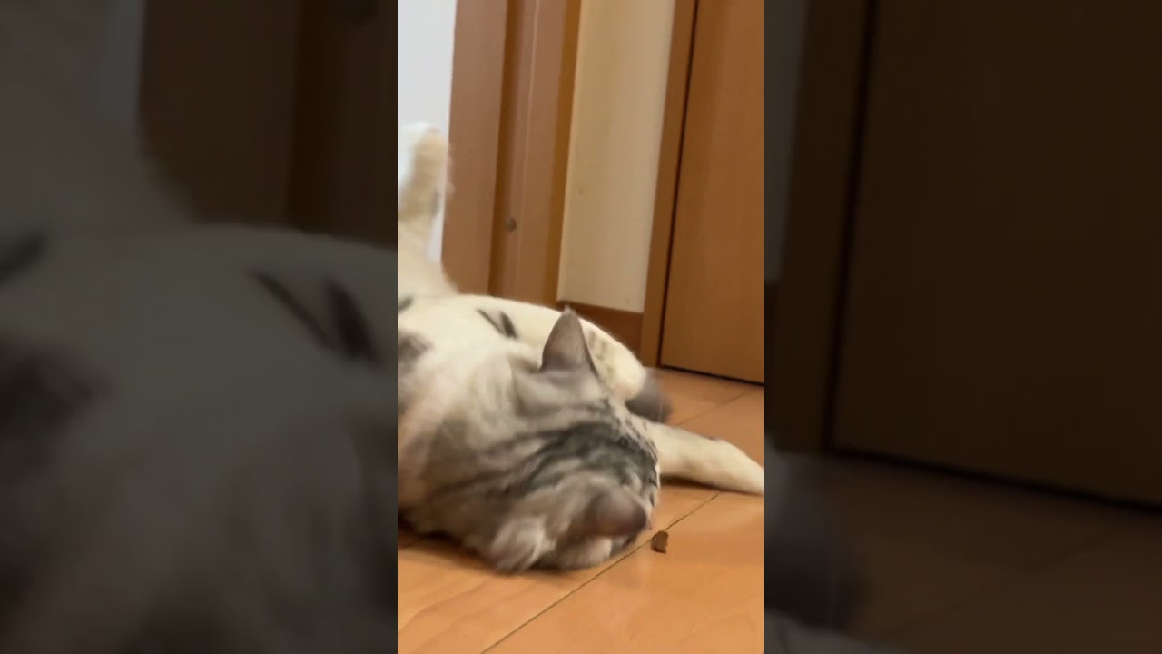 美味しいオヤツ⁉️発見‼️✨