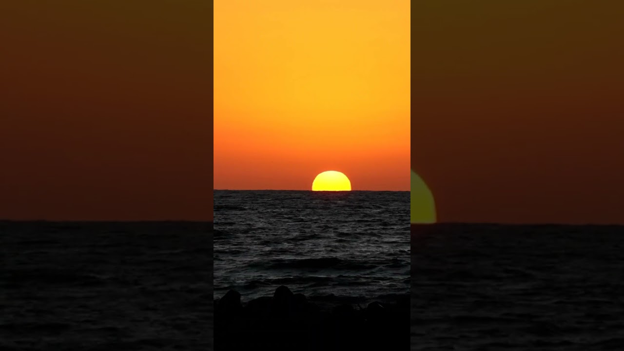 海に沈む夕陽を見てたら野良のシャム猫が出て来た🌅 #シャム猫