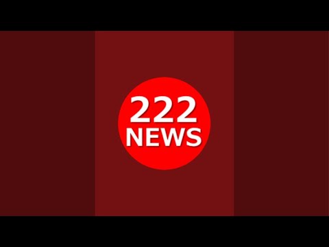 クリスマス会場こちら【猫アテレコ】【猫ニュース】