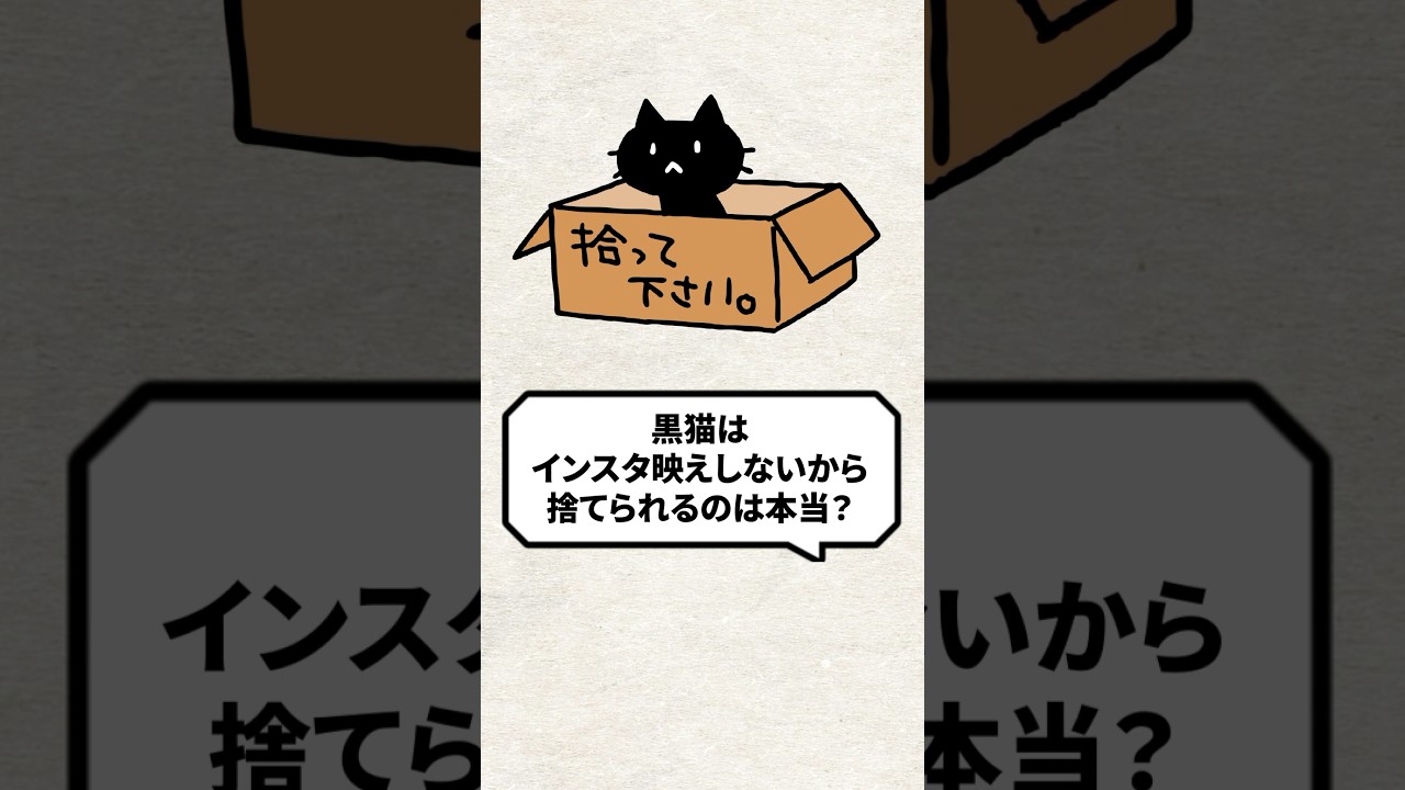 Q：黒猫はインスタ映えしないから捨てられるって本当？ #猫 #保護猫 #黒猫