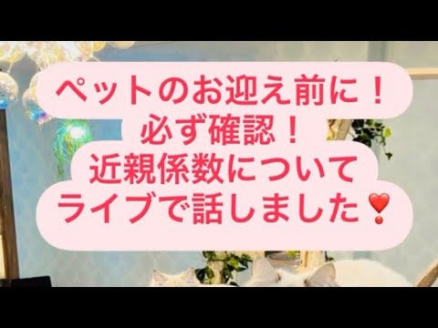子猫をお迎えする前に近親係数を✅〜12/26サイベリアン子猫紹介ライブ〜