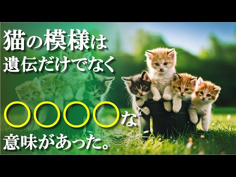 【ネコノネタ】猫の模様は遺伝だけでなく〇〇〇〇な意味があった