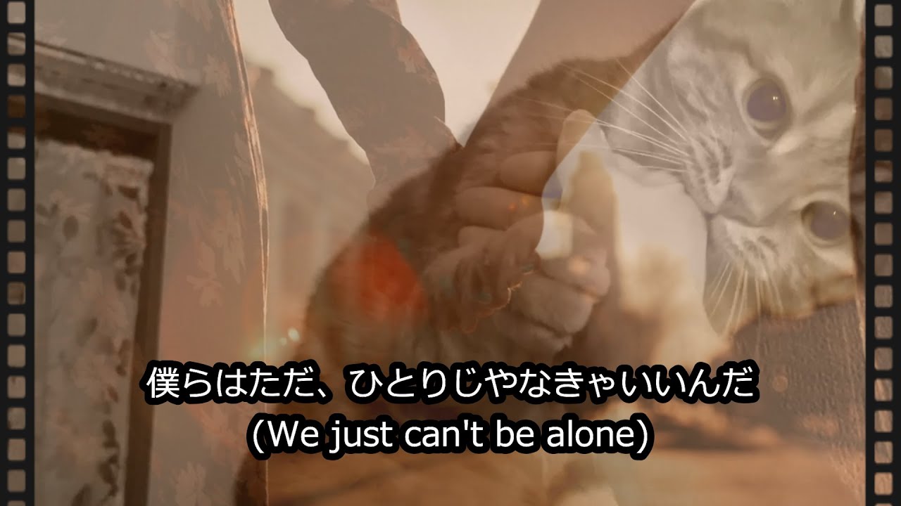 右手 猫さりり【ELLEGARDEN】 #アメリカンショートヘア  #猫  #細美武士