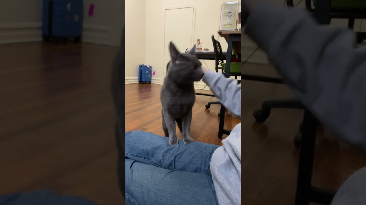 A Very Hungry Friendly Left Behind