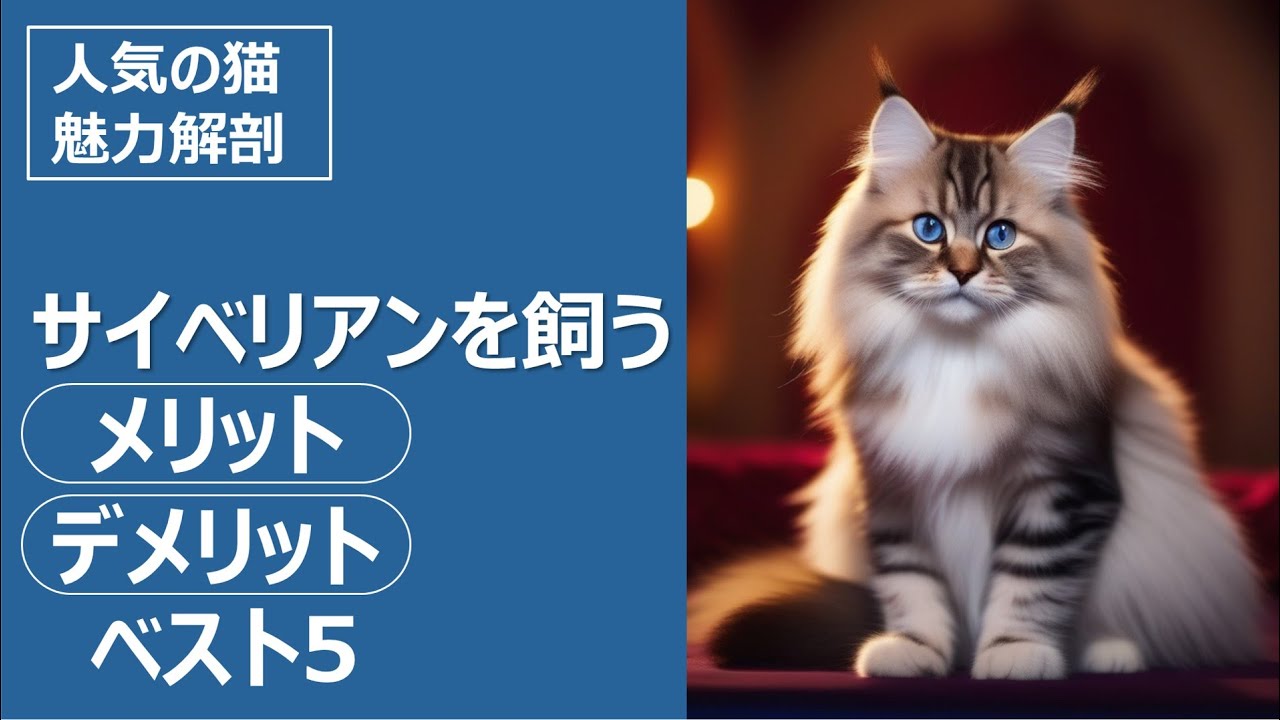 人気の猫 魅力解剖！サイベリアンを飼うメリット・デメリットベスト5