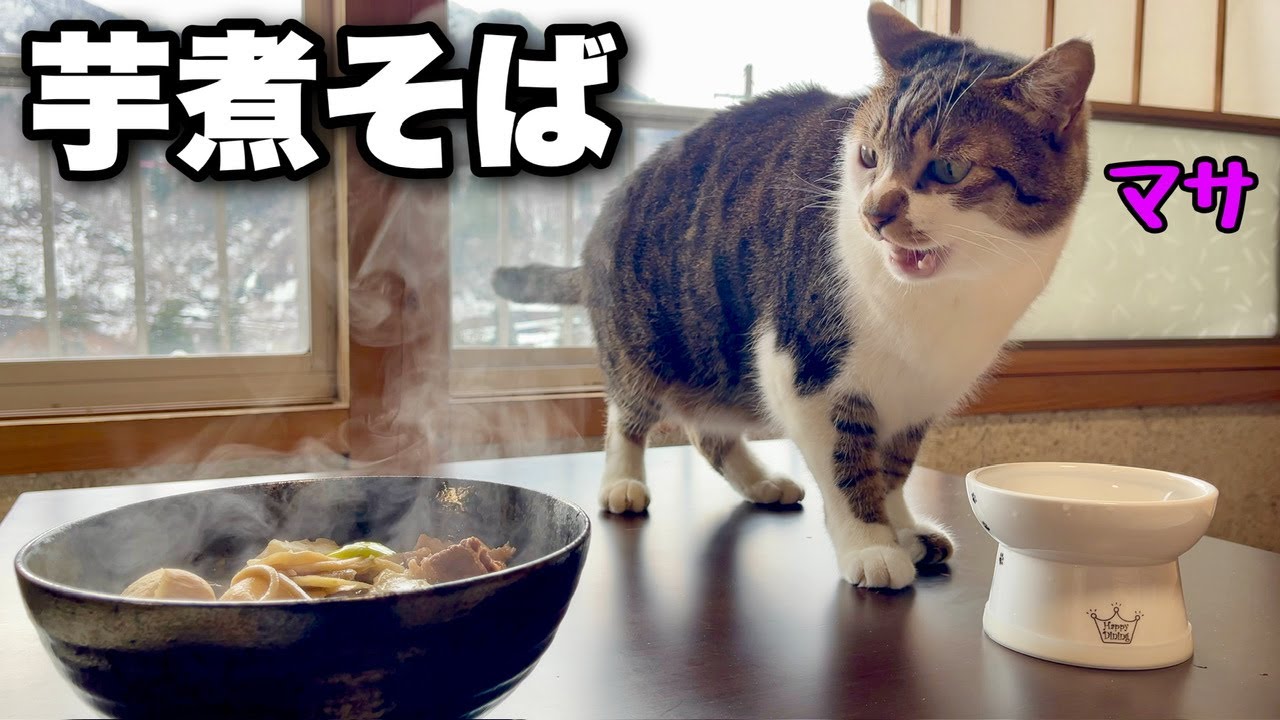 雪景色を見ながら猫と年越し芋煮そば。1年間ありがとうございました！