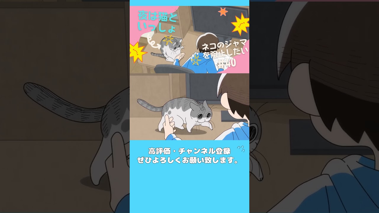 第40夜『ネコのジャマを阻止したい』【アニメ】【漫画】（高画質）  #short #shortvideo #夜は猫といっしょ #キュルガ #yoruneko #猫  #アニメ #マンチカン