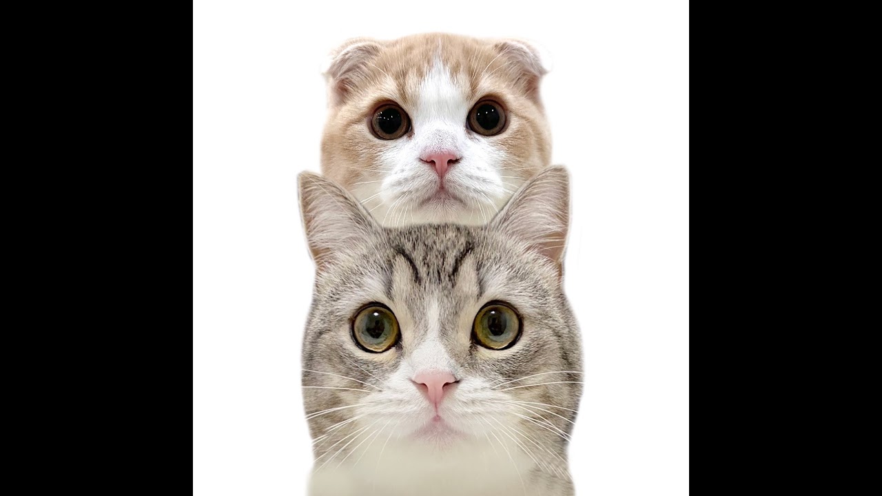 【生配信】初めての実家での年越しライブ！