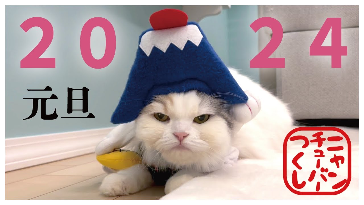 【令和2024年】あけましておめでとうございます！【関西弁でしゃべる猫】【猫アテレコ】