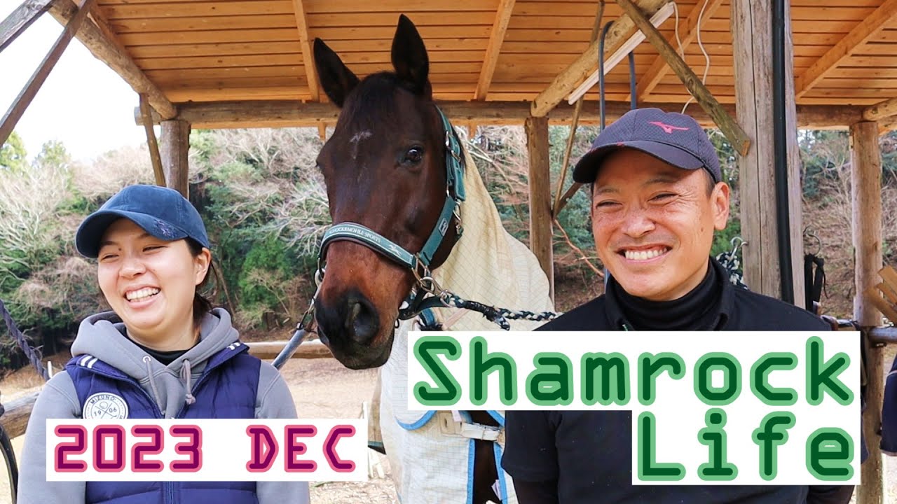 美味しい、ヘルシー/12月のVlog