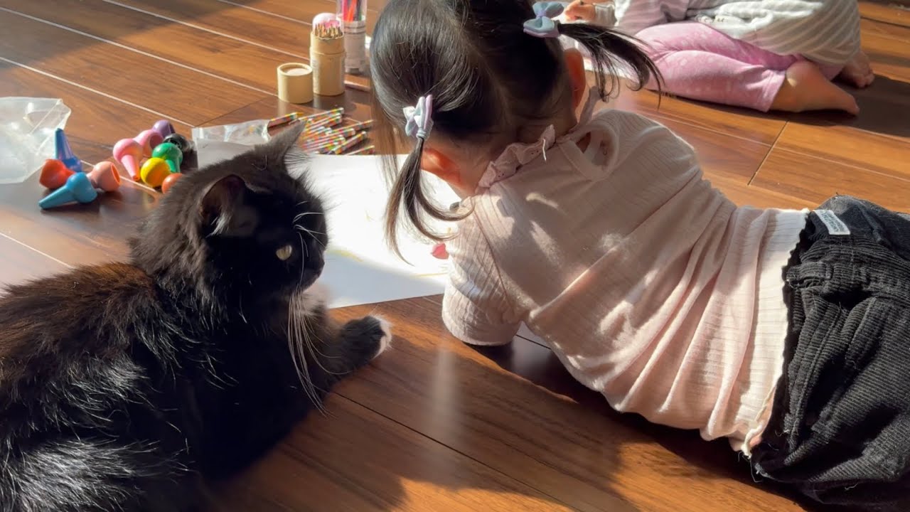 大晦日恒例、娘たちの創作活動を邪魔する猫　ラガマフィン　Cats interfering with children's creative activities