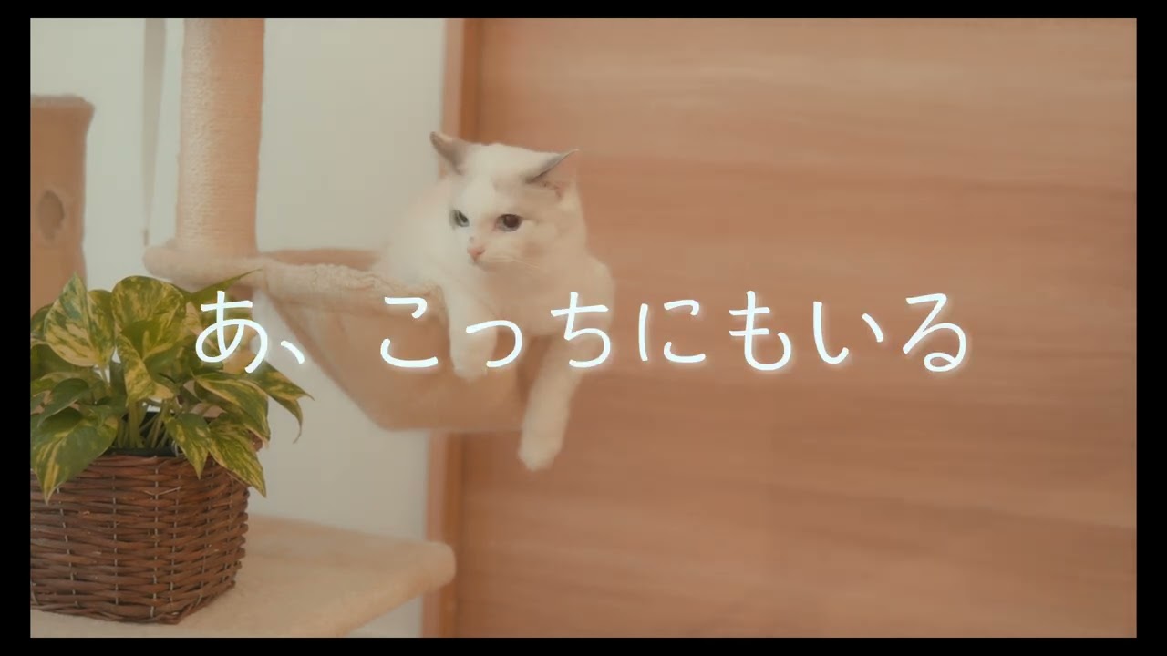 2024年1月1日地震 震度+5