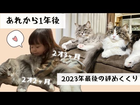 2023ラスト動画☆ 1年ぶりのふれあい☆同い年の女の子がきたよ