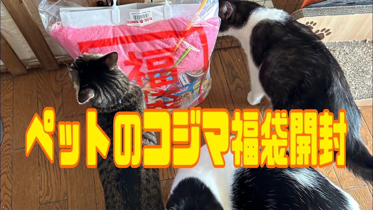 ペットのコジマ福袋