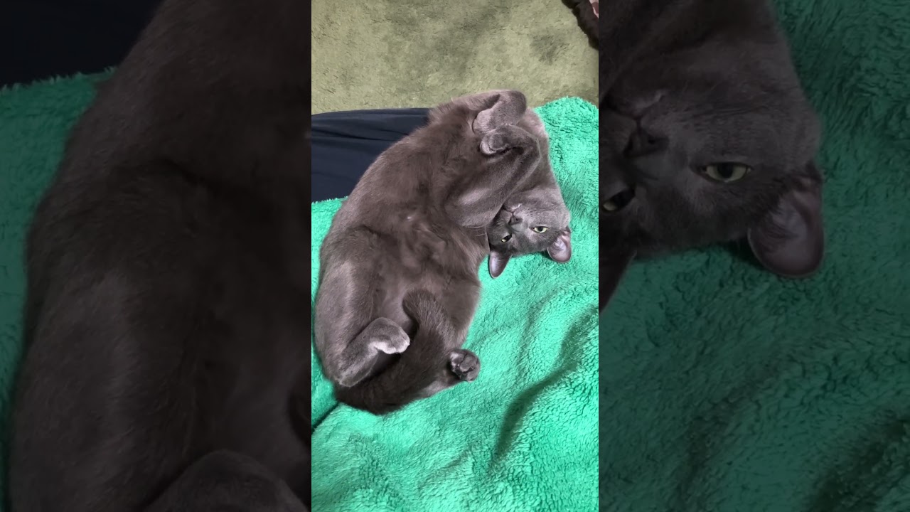 おはようございます😊