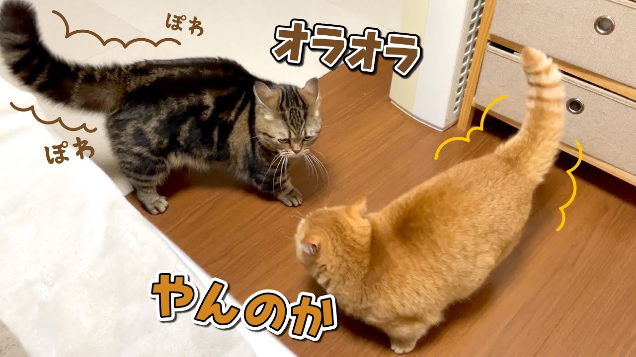 パパ不在で寂しがると思いきや、むしろ元気すぎて困っちゃいました