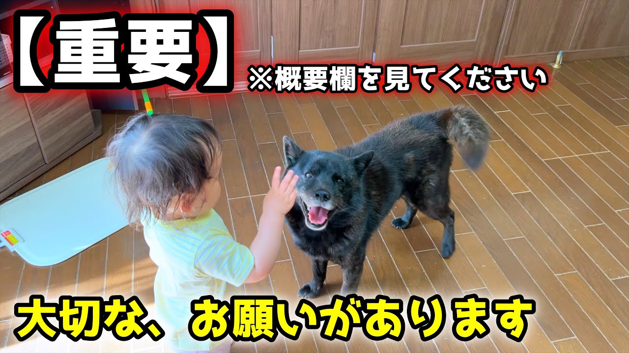 【重要】皆さんに、お願いがあります。