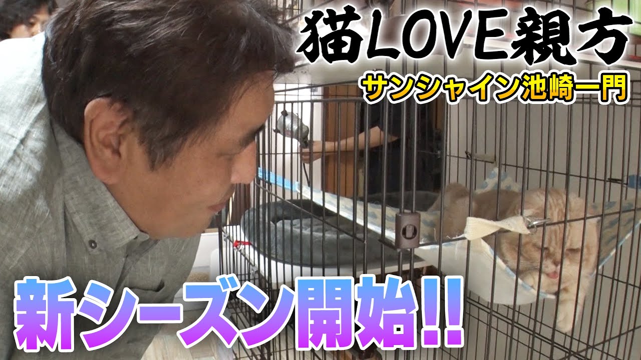 【保護猫活動】二子山親方の預かりボランティア2ndシーズン開始！！