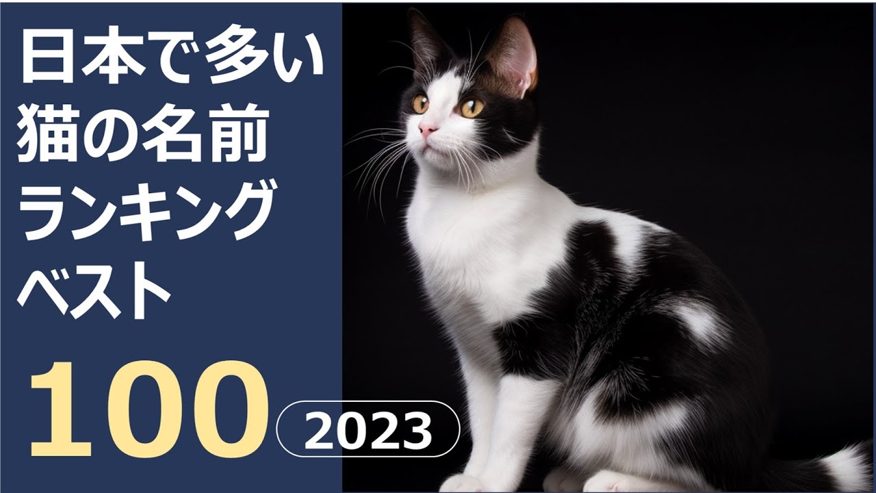 日本で多い猫の名前ランキングベスト100 2023版