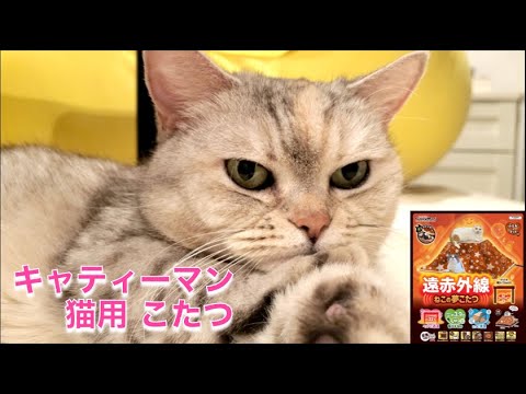 キャティーマン 猫の夢こたつ