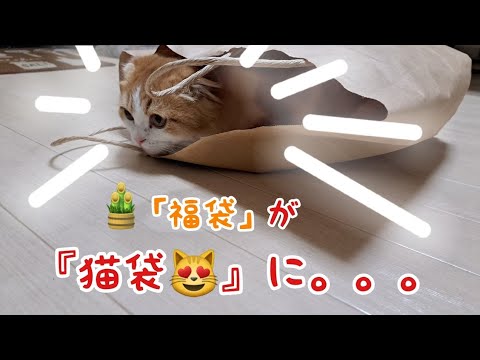 地味～な詰め合わせ「福袋」を購入😅すると。。。❓️