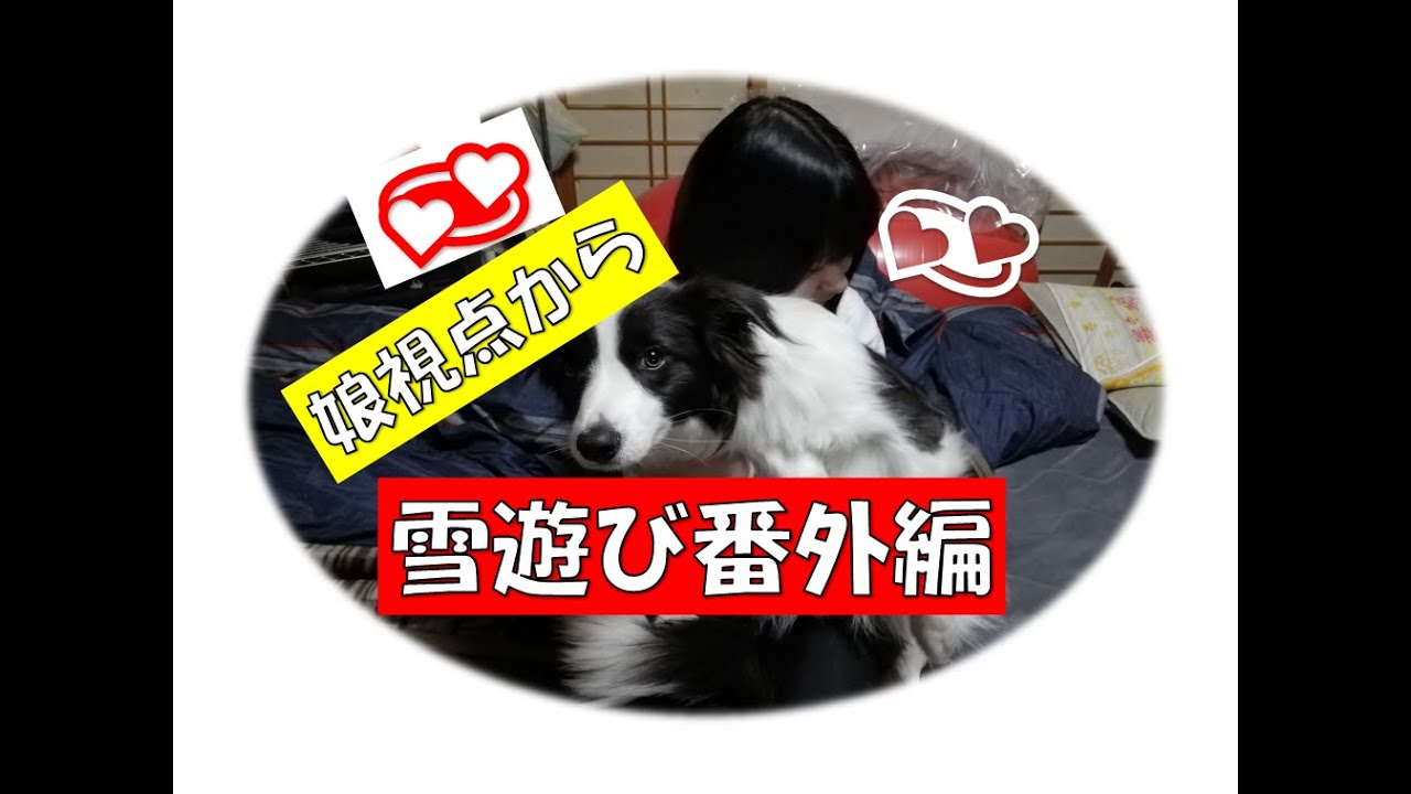 犬とスノーシュー　シーズン最後の雪遊び♪番外編♪＾＾