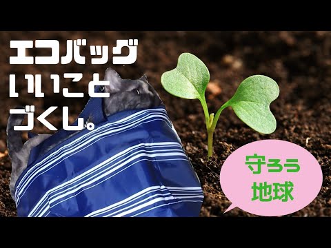 【セルカークレックス】エコバッグで地球に優しい✨せらは楽しい♫【せらのりたま】