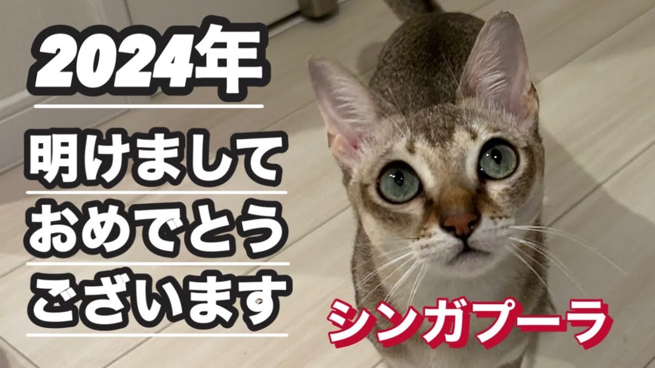 明けましておめでとうございます