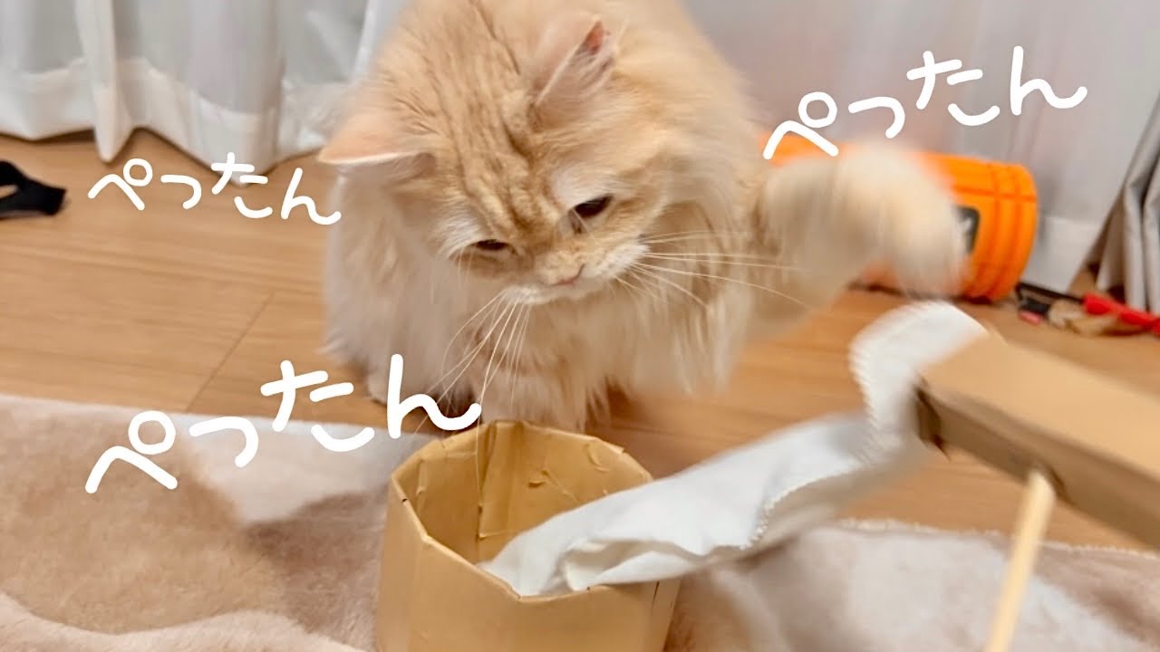 【2024年もよろしくお願いします！】猫とお餅つき&おみくじ。