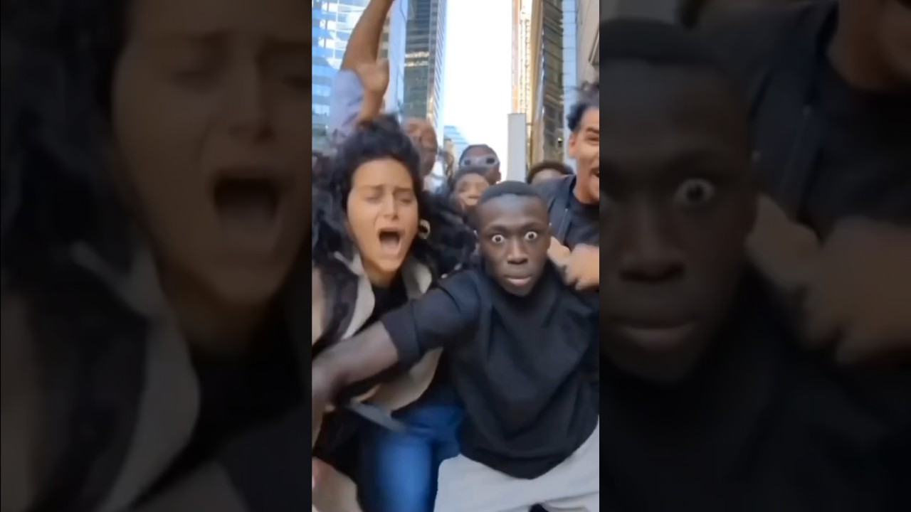 可愛い猫を見てハイテンションになる群衆🤣 #cat #ラグドール #shorts