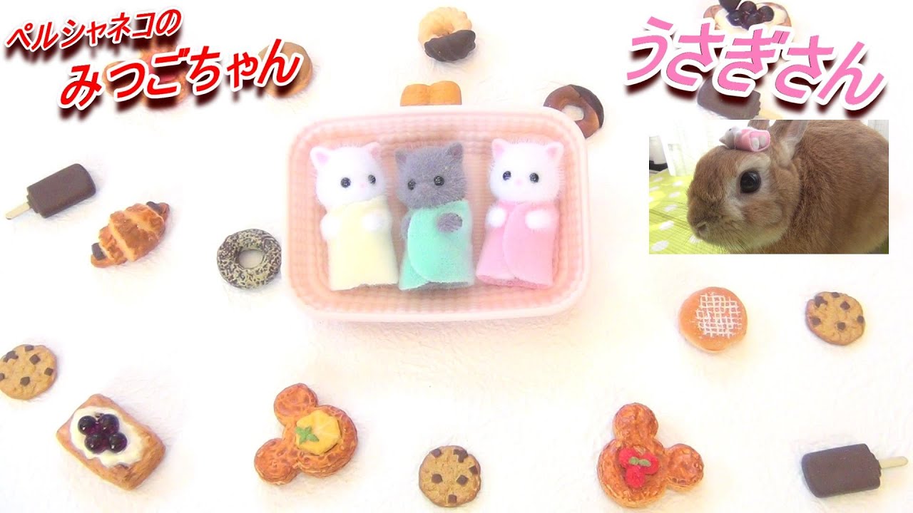 Doll of the Persian cat ペルシャネコのみつごちゃんといっしょに遊んでくれたうさぎさん【うさぎカフェ ぽっぷ Pop】