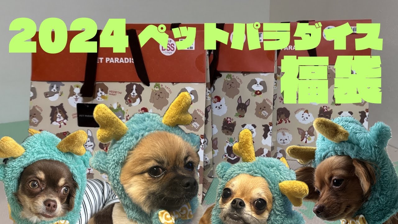 2024ペットパラダイス福袋開封