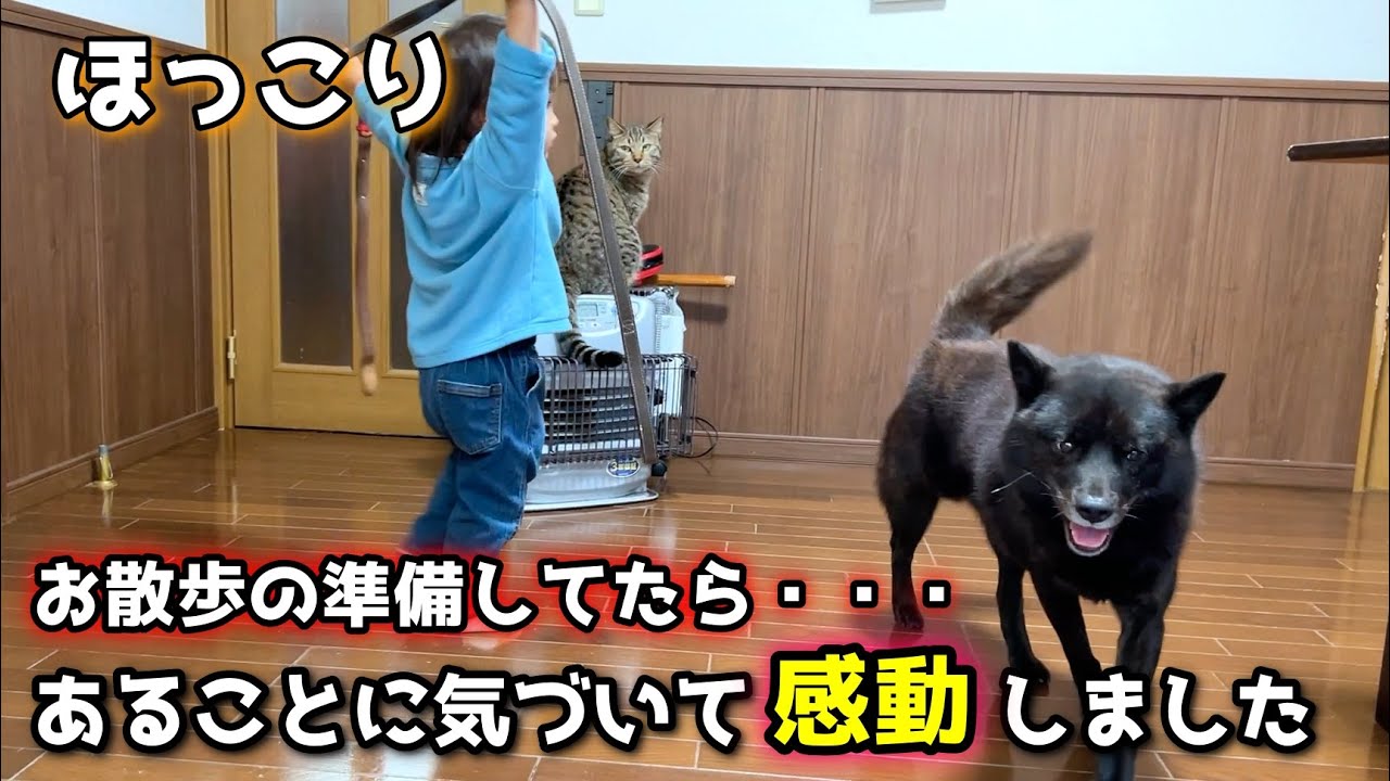 【ほっこり】日本犬らしい、さりげない気遣いと優しさ