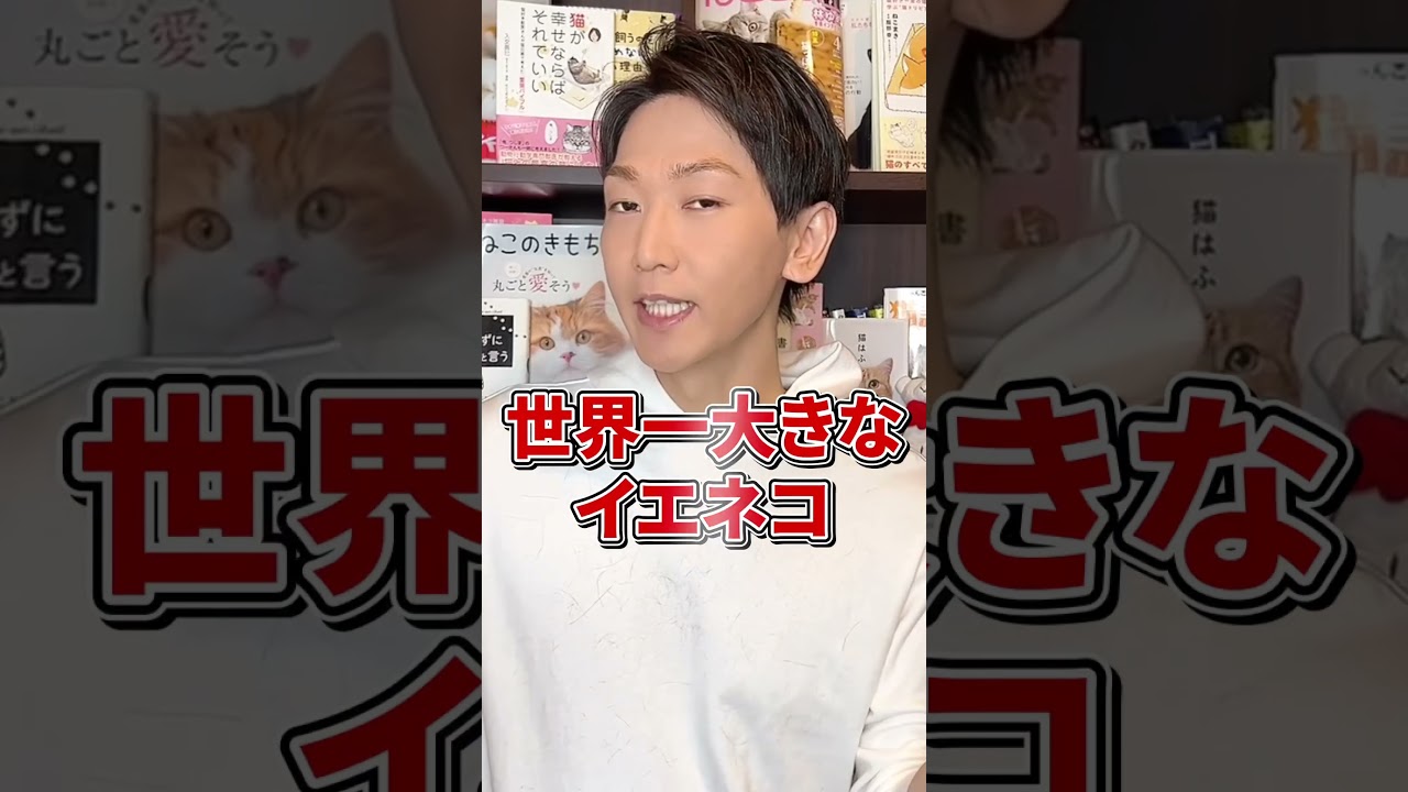 Q：世界で一番大きい猫はなんですか？