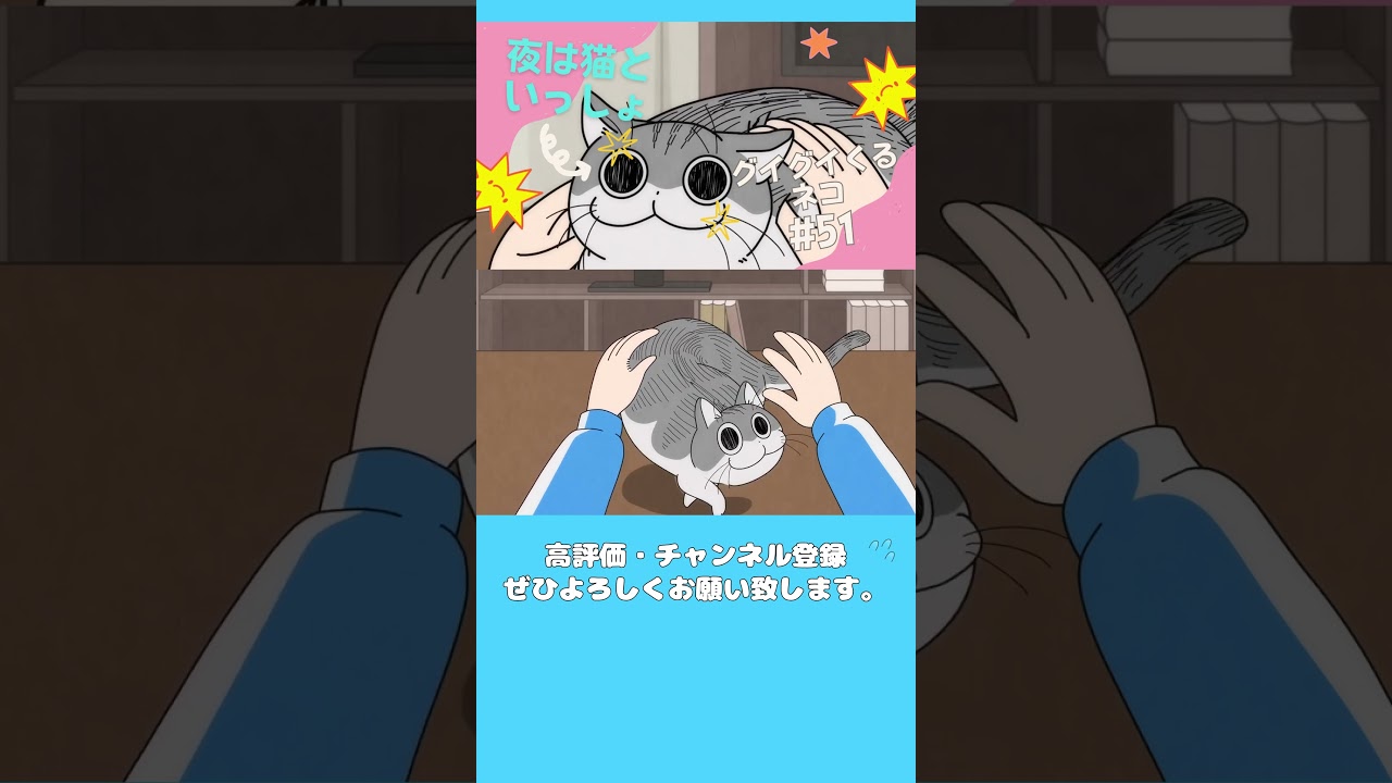 第51夜『グイグイくるネコ』【アニメ】【漫画】（高画質）  #short #shortvideo #夜は猫といっしょ #キュルガ #yoruneko #猫  #アニメ #マンチカン#漫画 #夜猫