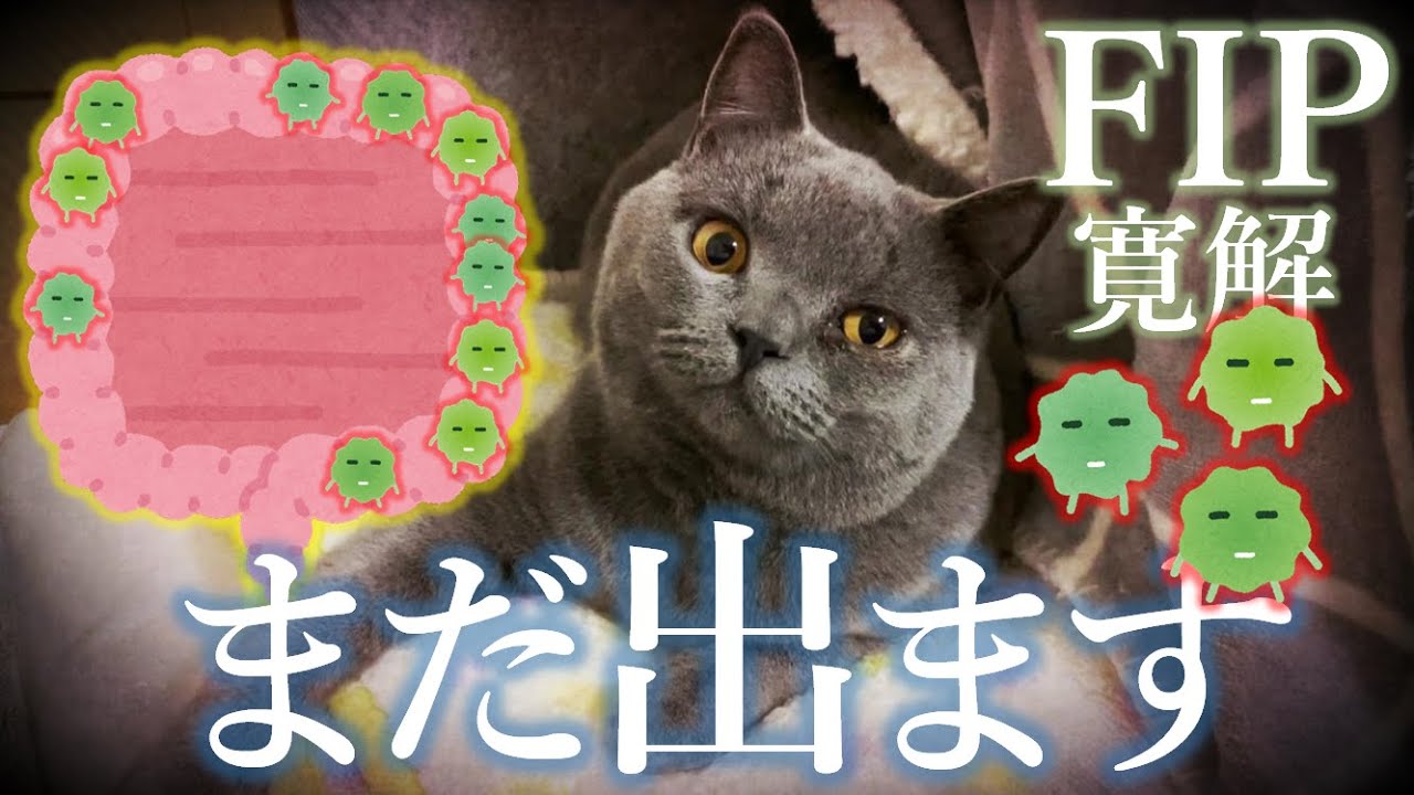 トリコモナスがいました😱