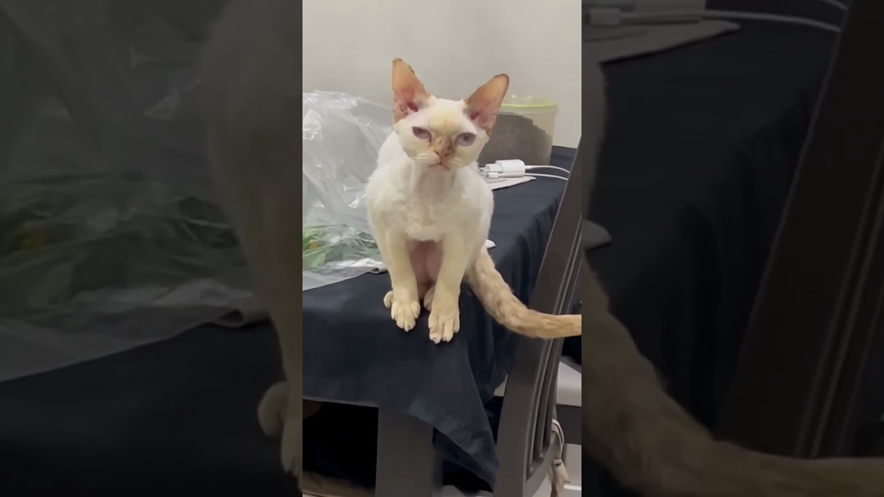 Я ни когда …