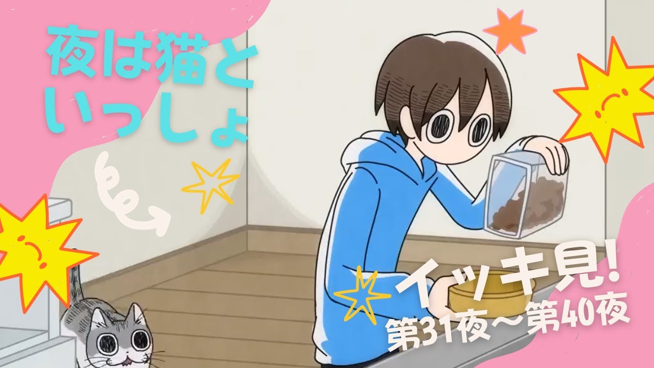 『イッキ見!×10！ 第31夜～第40夜』【アニメ】【漫画】（高画質）#夜は猫といっしょ #アニメ  #猫 #cat