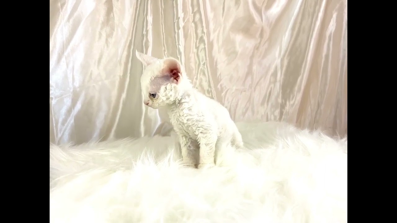 とってもかわいい赤ちゃんです♪　(22)