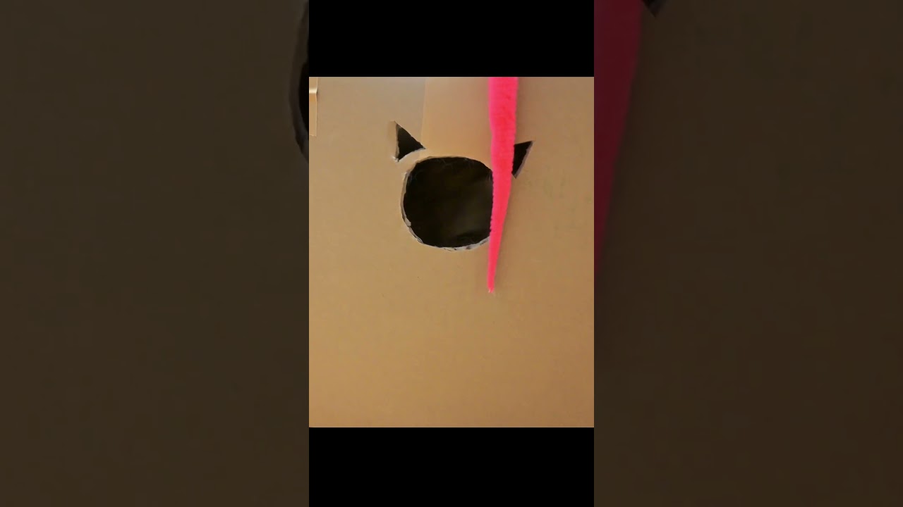 段ボールを猫型に切り抜いたら可愛かった  #shorts #サイベリアン #猫