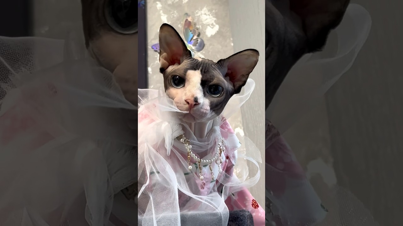 У Люси серьезные разборки с фатой 😅❤️