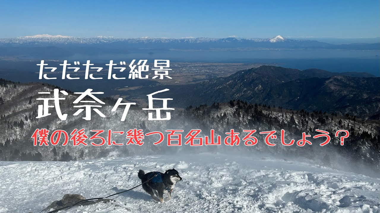 黒柴キチの山登り 09 武奈ヶ岳