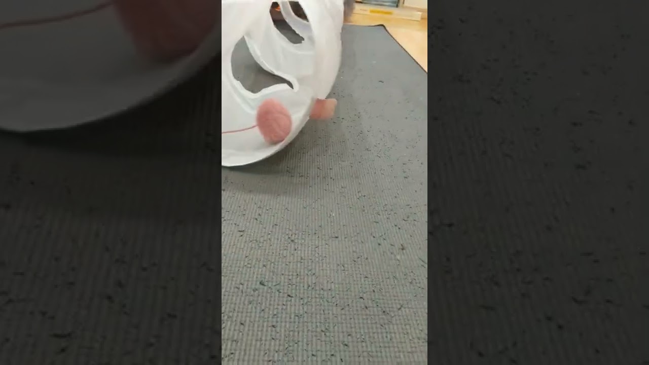 にゃんにゃんトンネル　sugarglider #90 セルカークレックス