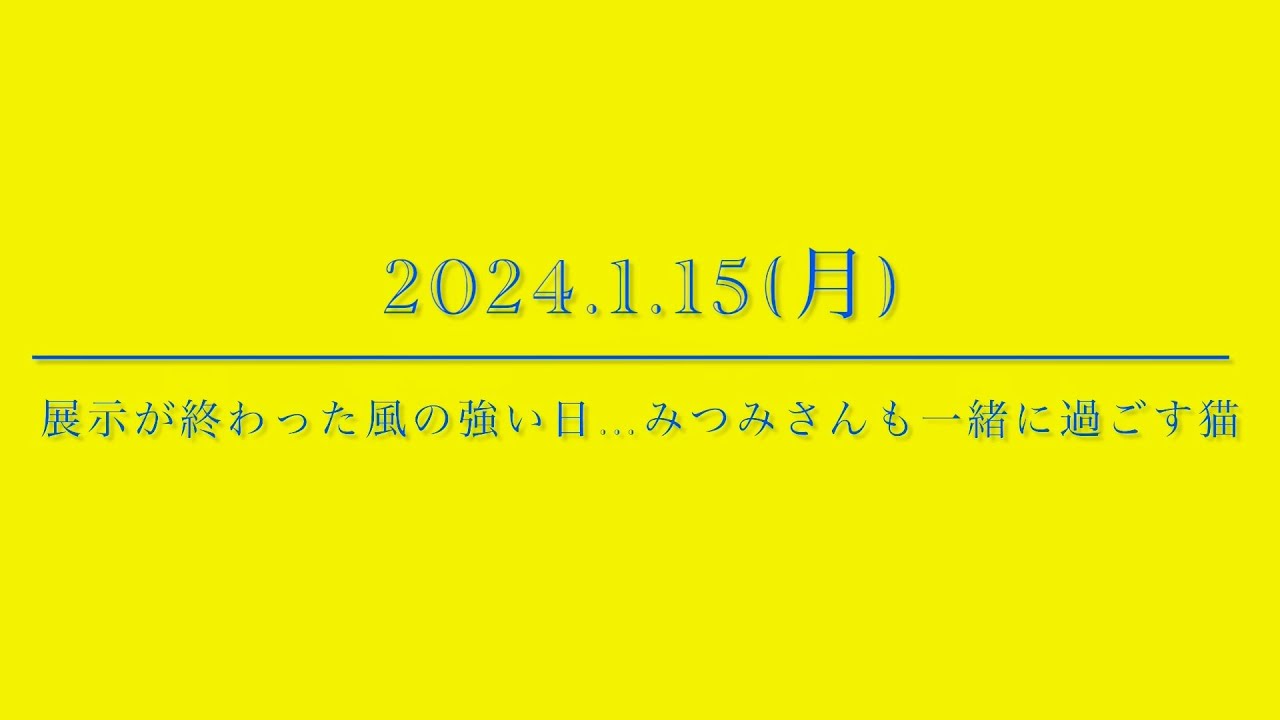 #風の猫　2024.1.15(月)　展示が終わった数の強い日..　みつみさんも一緒に過ごす猫…【さっちゃんとおばあちゃんの散歩・466日目】①～③・・・
