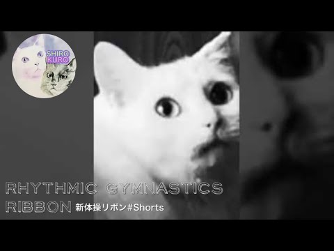 【新体操】オリンピックOlympic Rhythmic gymnastics #Shorts