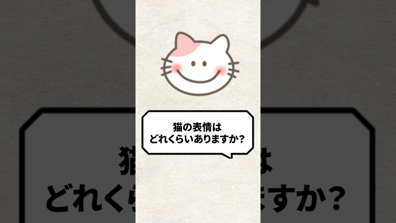 Q：猫の表情はどれくらいありますか？ #猫 #猫のいる生活 #ねこの気持ち