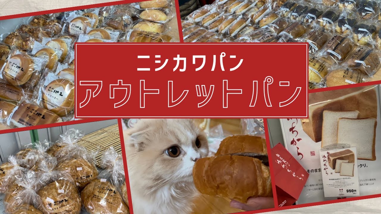 お得なアウトレットパン買い物！ニシカワパンでお得なパンをGETしよう！（スコティッシュフォールド）